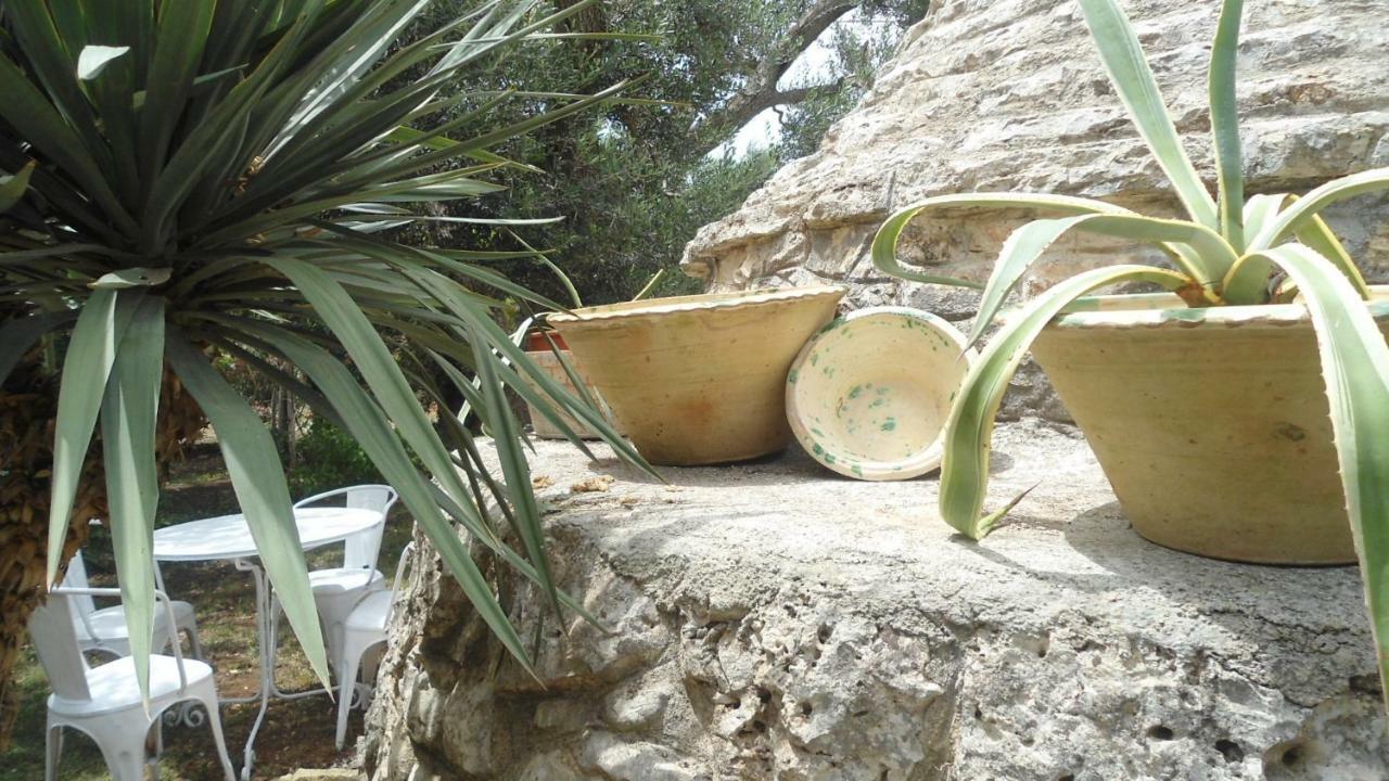 Il Trullo Del Cadetto Villa ฟรานกาวิลลา ฟอนตานา ภายนอก รูปภาพ