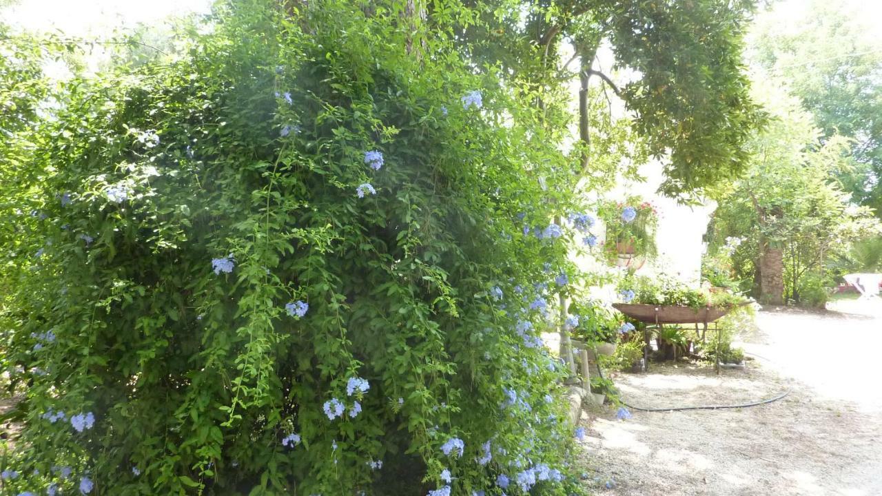 Il Trullo Del Cadetto Villa ฟรานกาวิลลา ฟอนตานา ภายนอก รูปภาพ