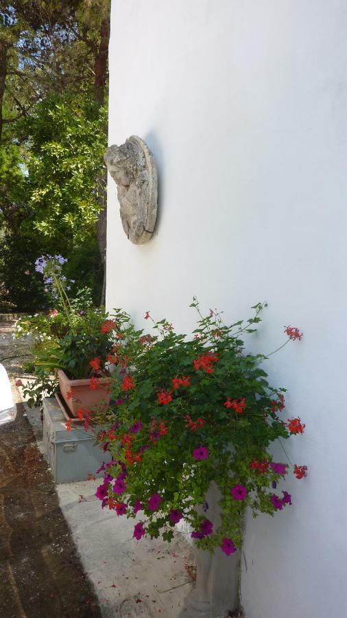 Il Trullo Del Cadetto Villa ฟรานกาวิลลา ฟอนตานา ภายนอก รูปภาพ