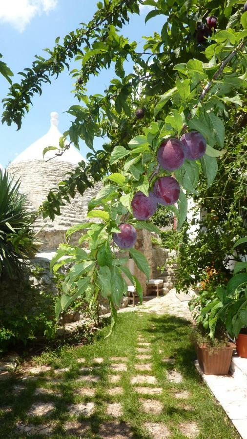 Il Trullo Del Cadetto Villa ฟรานกาวิลลา ฟอนตานา ภายนอก รูปภาพ