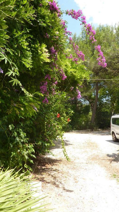 Il Trullo Del Cadetto Villa ฟรานกาวิลลา ฟอนตานา ภายนอก รูปภาพ